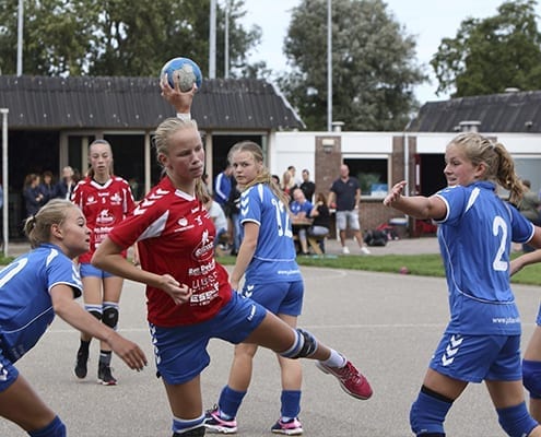 Succesverhaal Door Samenwerking Sterk