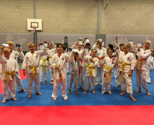 Karate_team_Utrecht_ingezonden_beeld
