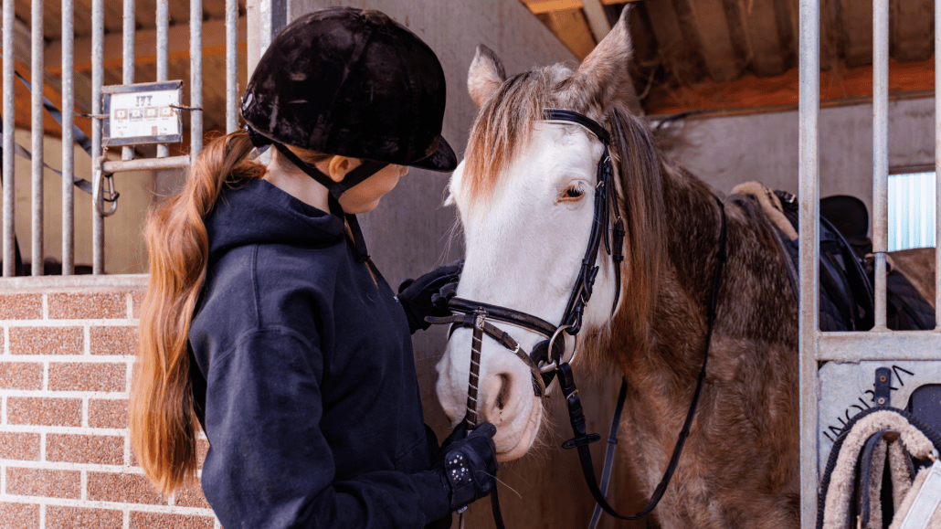 Pony klaarmaken met nieuwe materialen